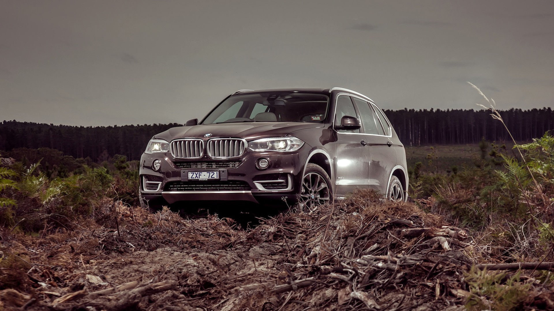 Обзор carplayer BMW X5